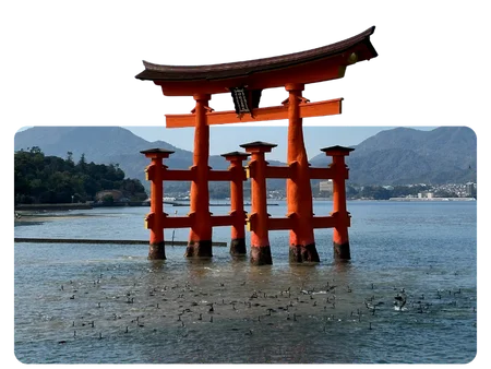 Japan Tourist Visa for Adult