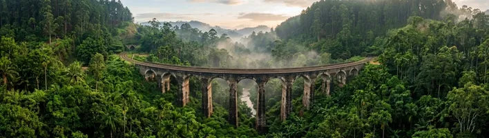 Sri Lanka Tourist Visa for Adult